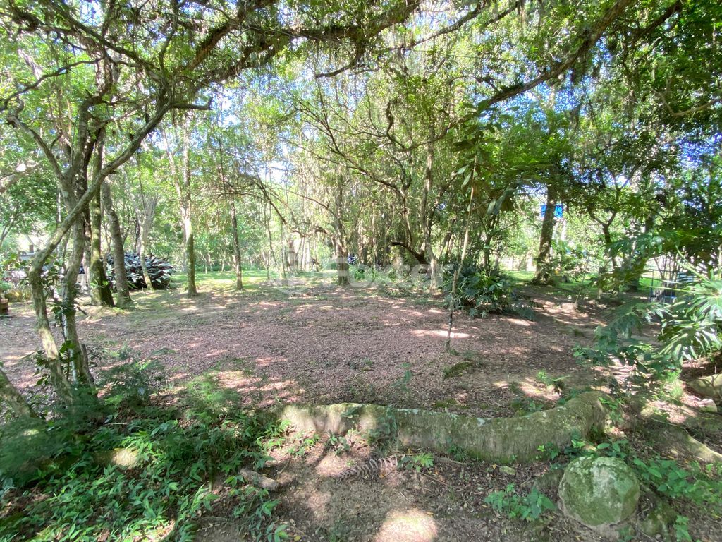 sitio chachara fazenda para comprar em José Imhoff, 1273 - foto 28