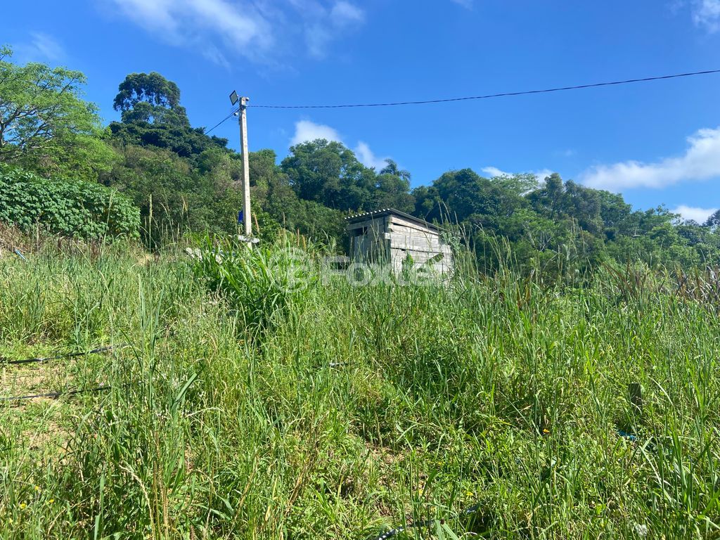 sitio chachara fazenda para comprar em José Imhoff, 1273 - foto 22
