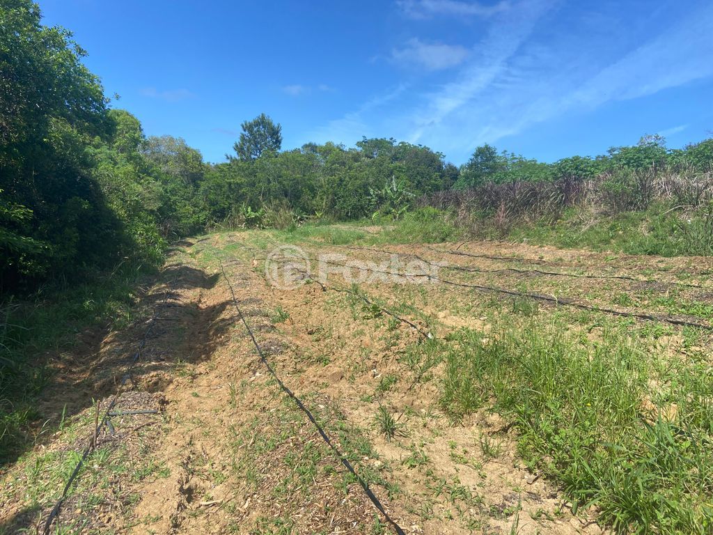 sitio chachara fazenda para comprar em José Imhoff, 1273 - foto 7