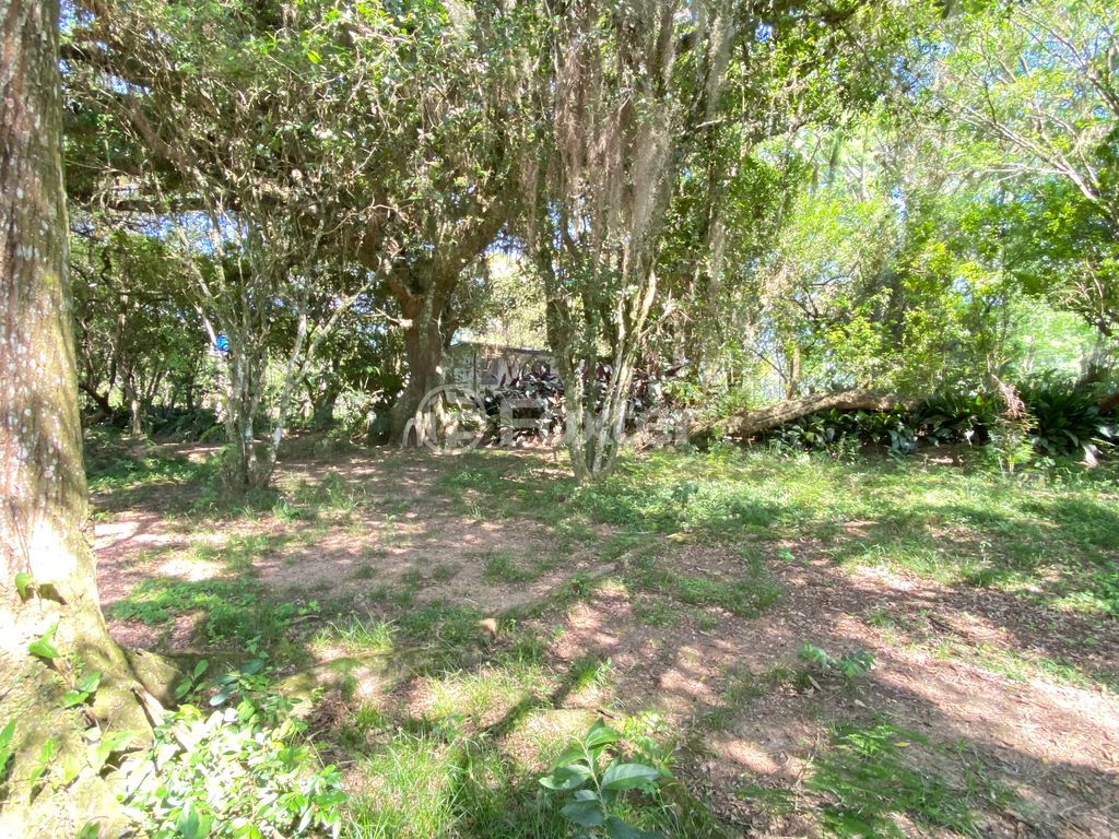 sitio chachara fazenda para comprar em José Imhoff, 1273 - foto 27