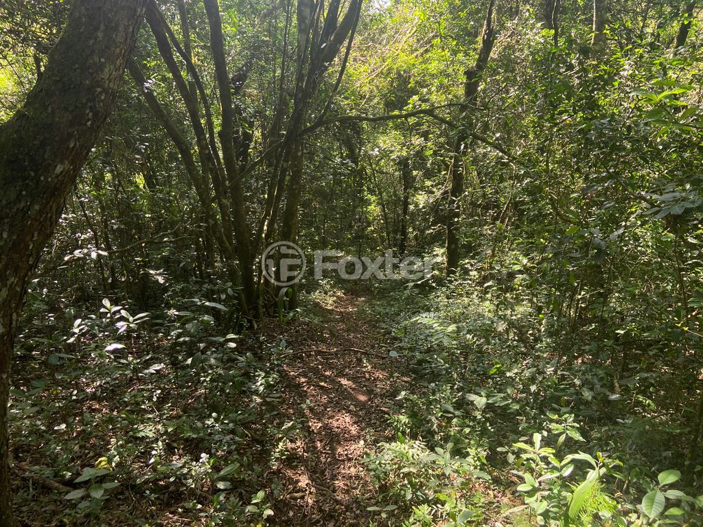 sitio chachara fazenda para comprar em José Imhoff, 1273 - foto 18