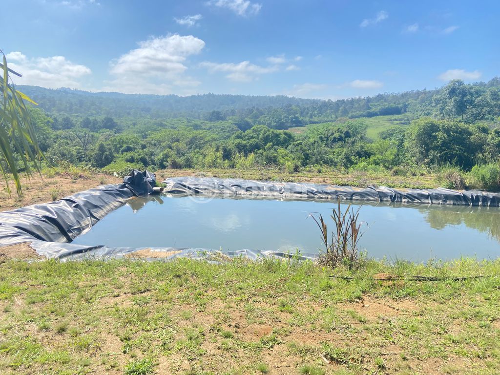 sitio chachara fazenda para comprar em José Imhoff, 1273 - foto 10