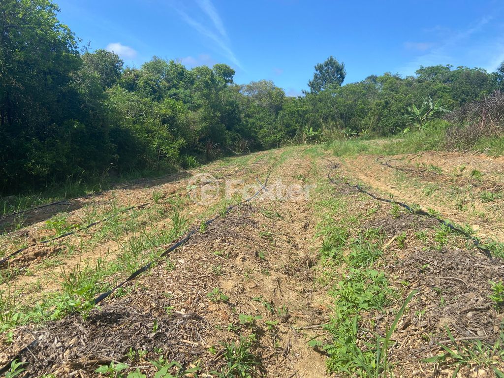 sitio chachara fazenda para comprar em José Imhoff, 1273 - foto 8