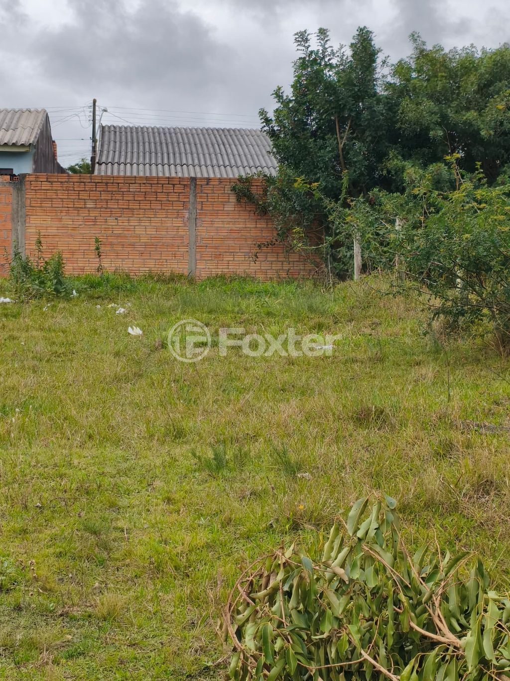 terreno lote condominio para comprar em Fries, 150 - foto 6