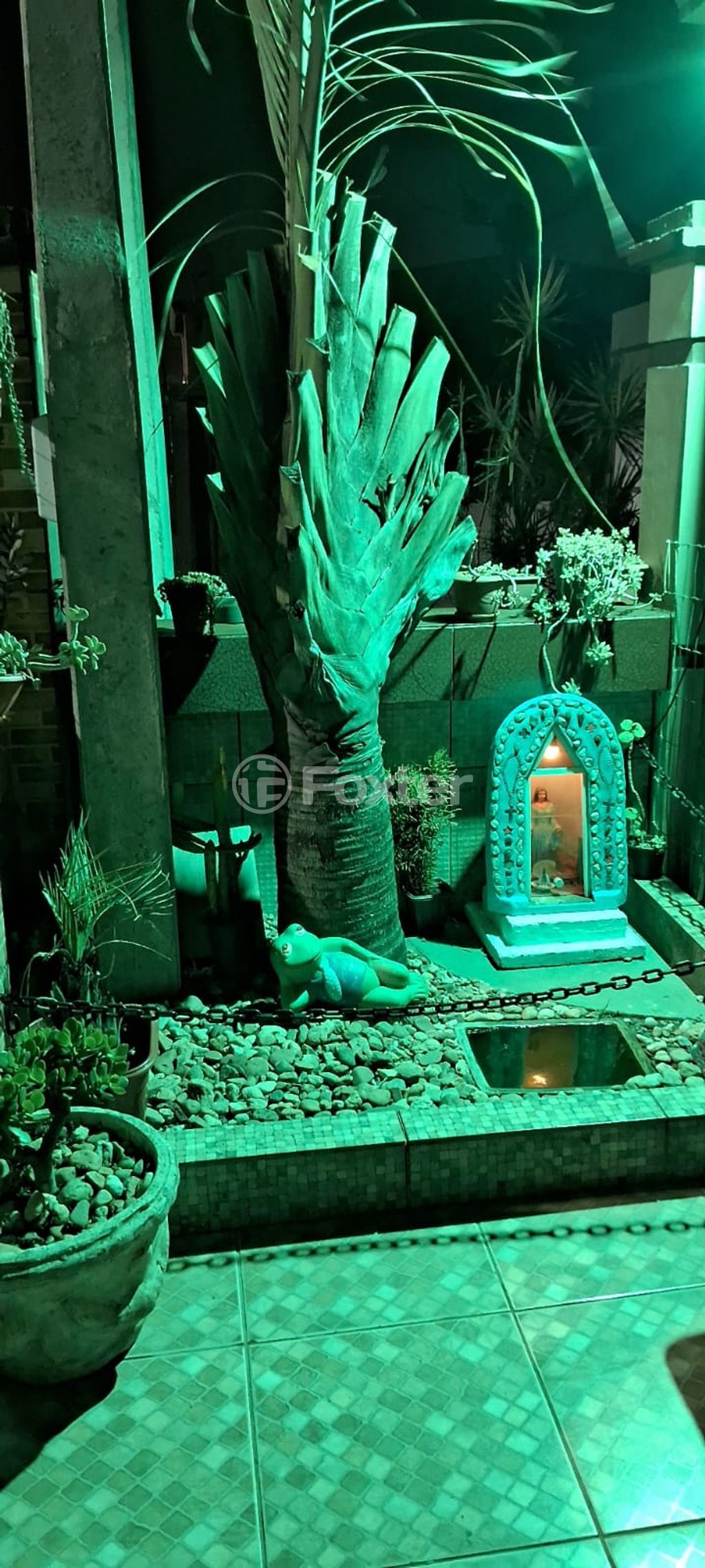 Foto 4