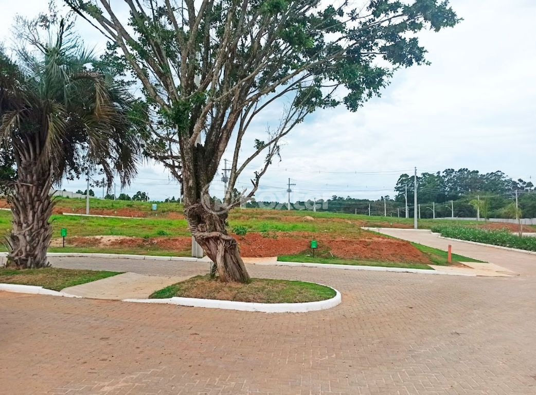 Foto do Anuncio