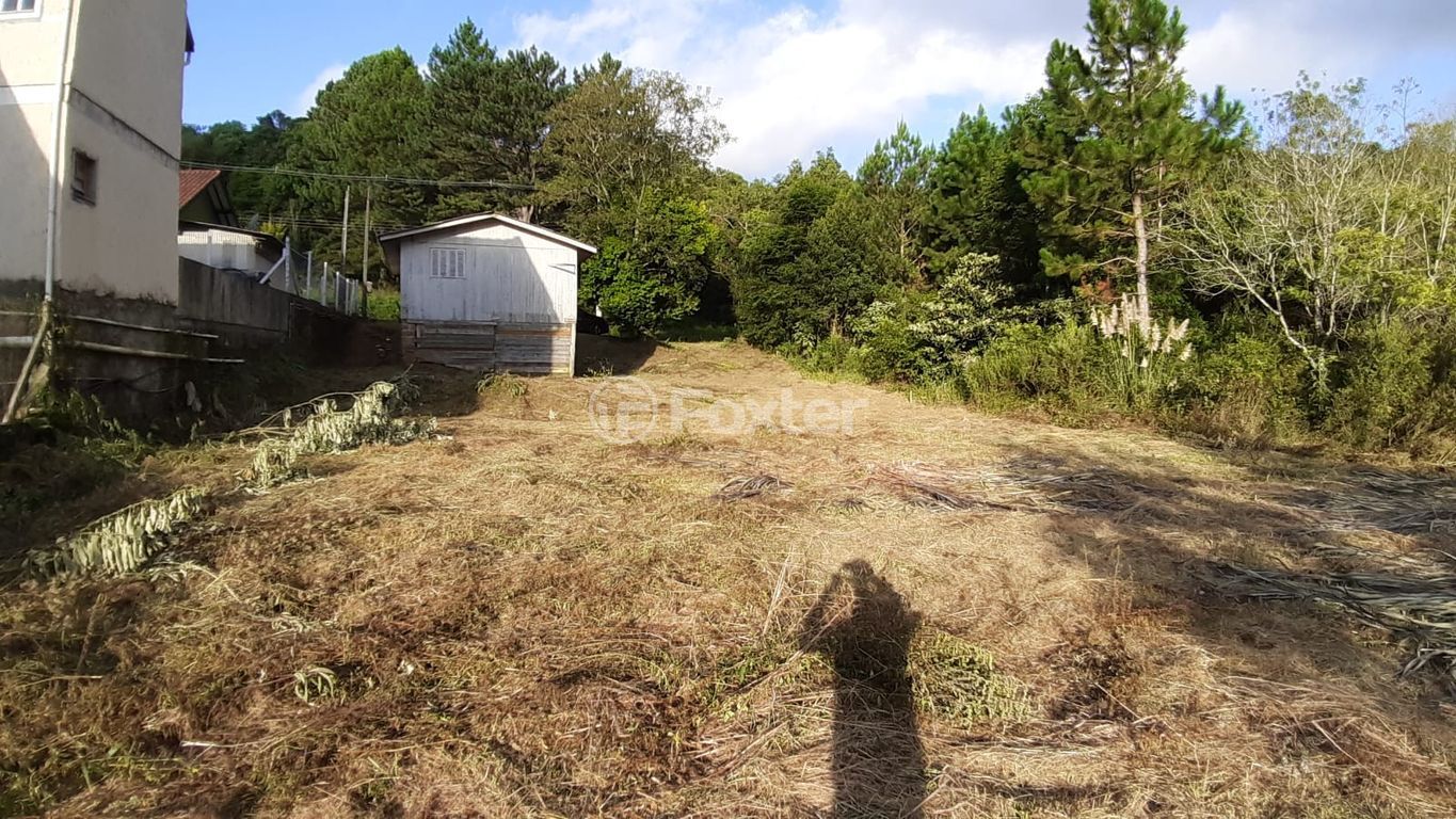 terreno lote condominio para comprar em Doze de Junho, 598 - foto 4