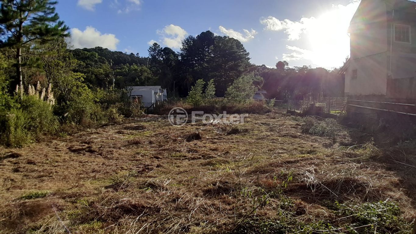 terreno lote condominio para comprar em Doze de Junho, 598 - foto 3