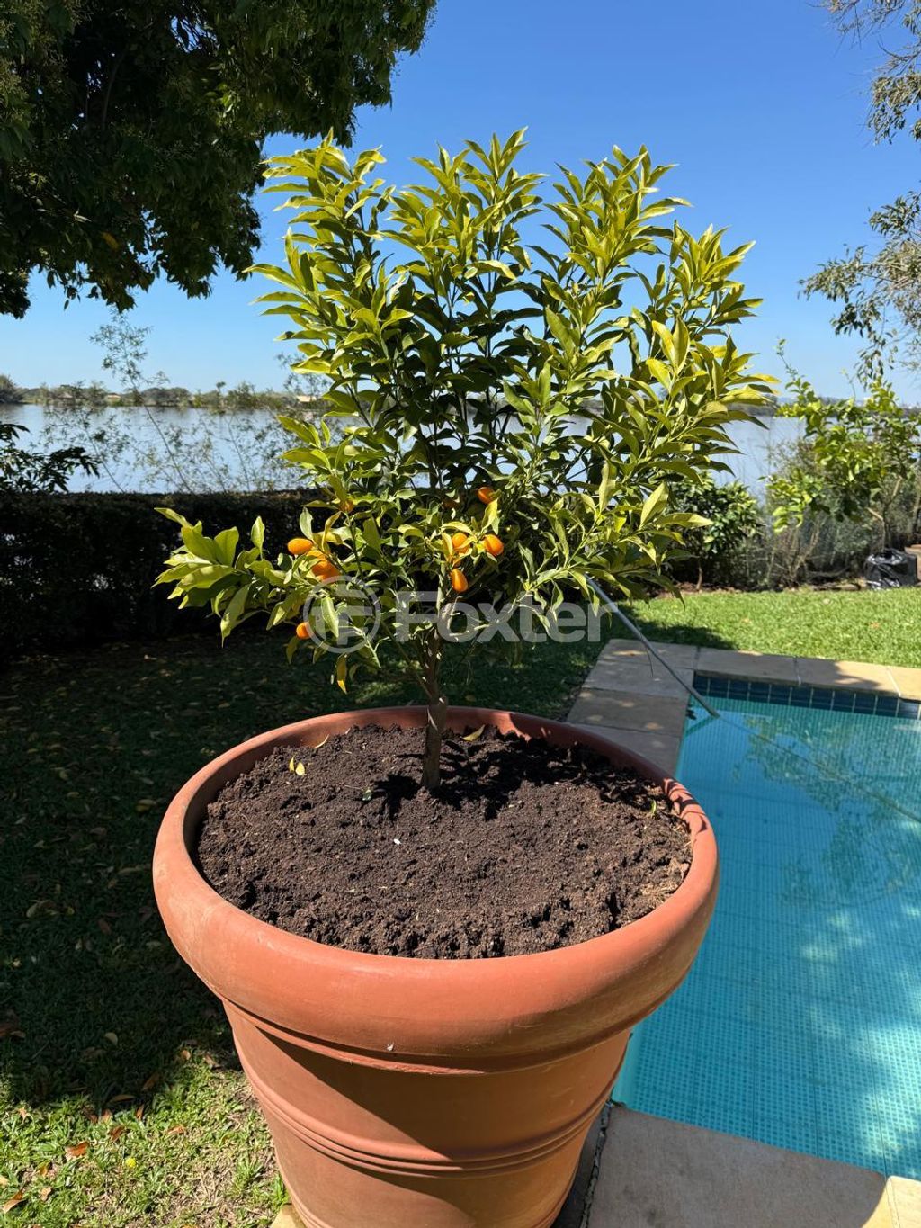 Casa em condominio para comprar em Martinho Poeta, 4833 - foto 10