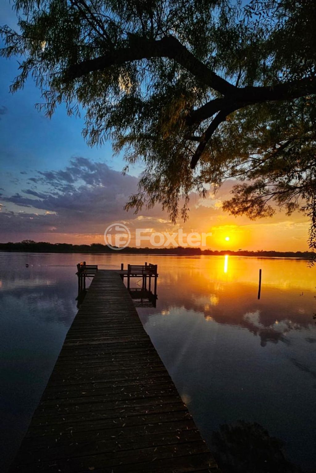 Casa em condominio para comprar em Martinho Poeta, 4833 - foto 5