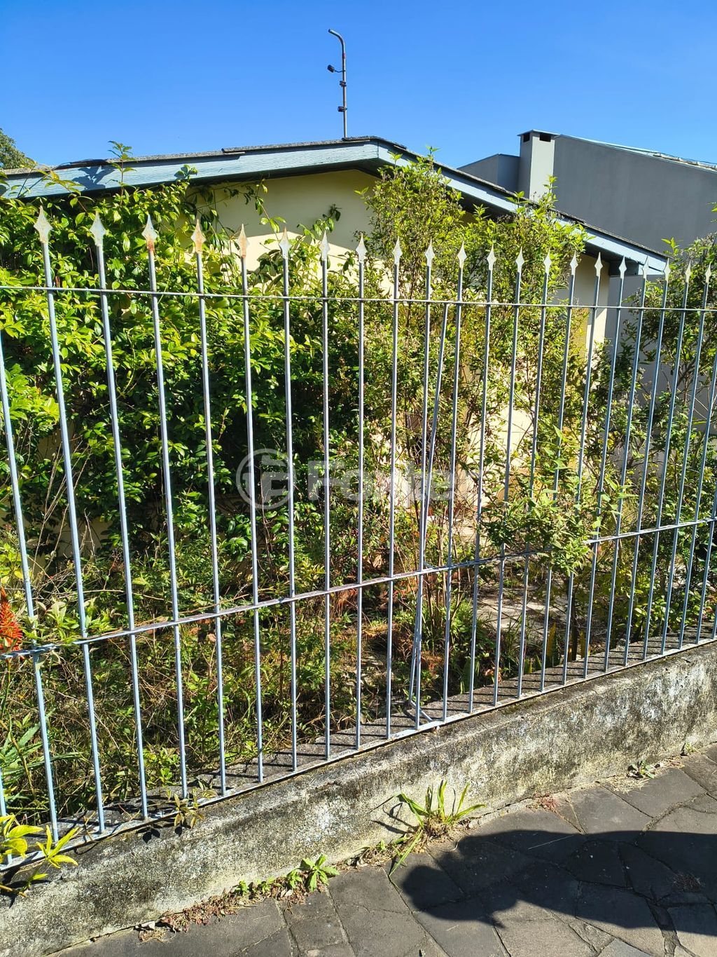 casa sobrado para comprar em Doutor Ney Cabral, 343 - foto 4