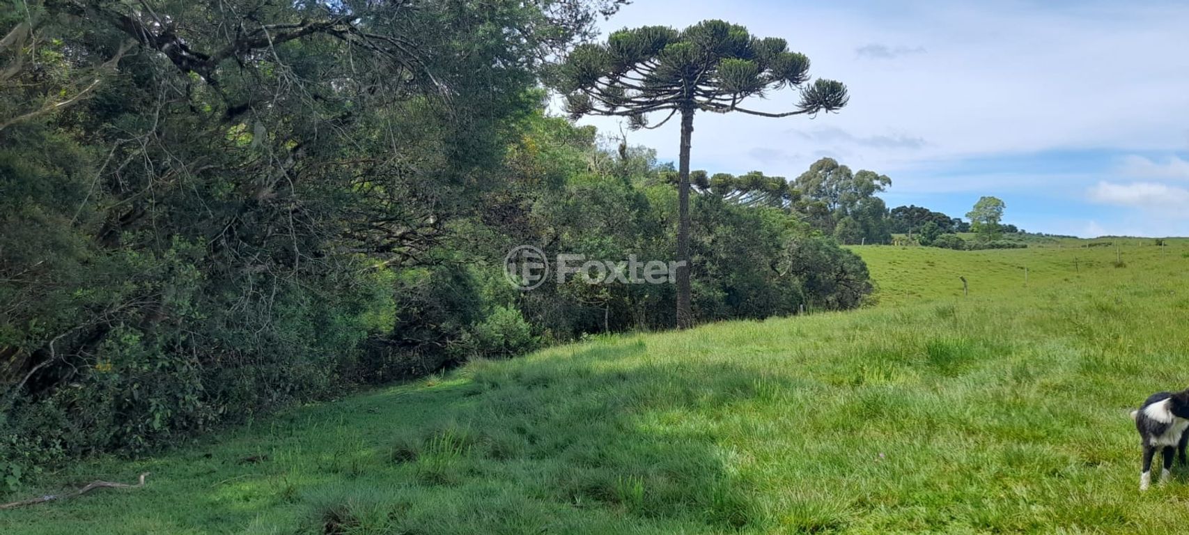 sitio chachara fazenda para comprar em Blang, 1120 - foto 5