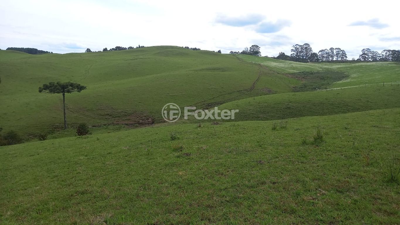 sitio chachara fazenda para comprar em Blang, 1120 - foto 2