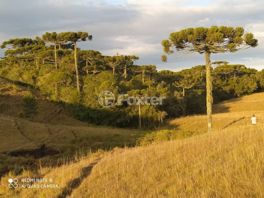 sitio chachara fazenda para comprar em Blang, 1120 - foto 14