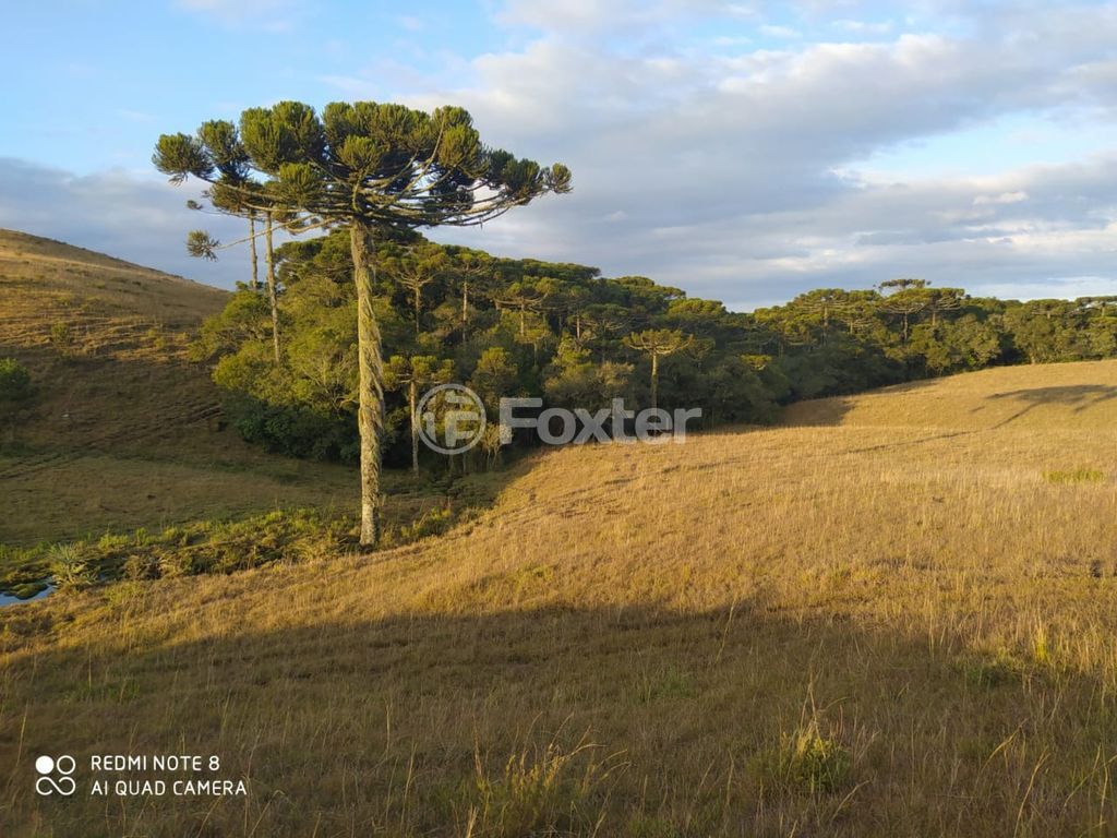 sitio chachara fazenda para comprar em Blang, 1120 - foto 9