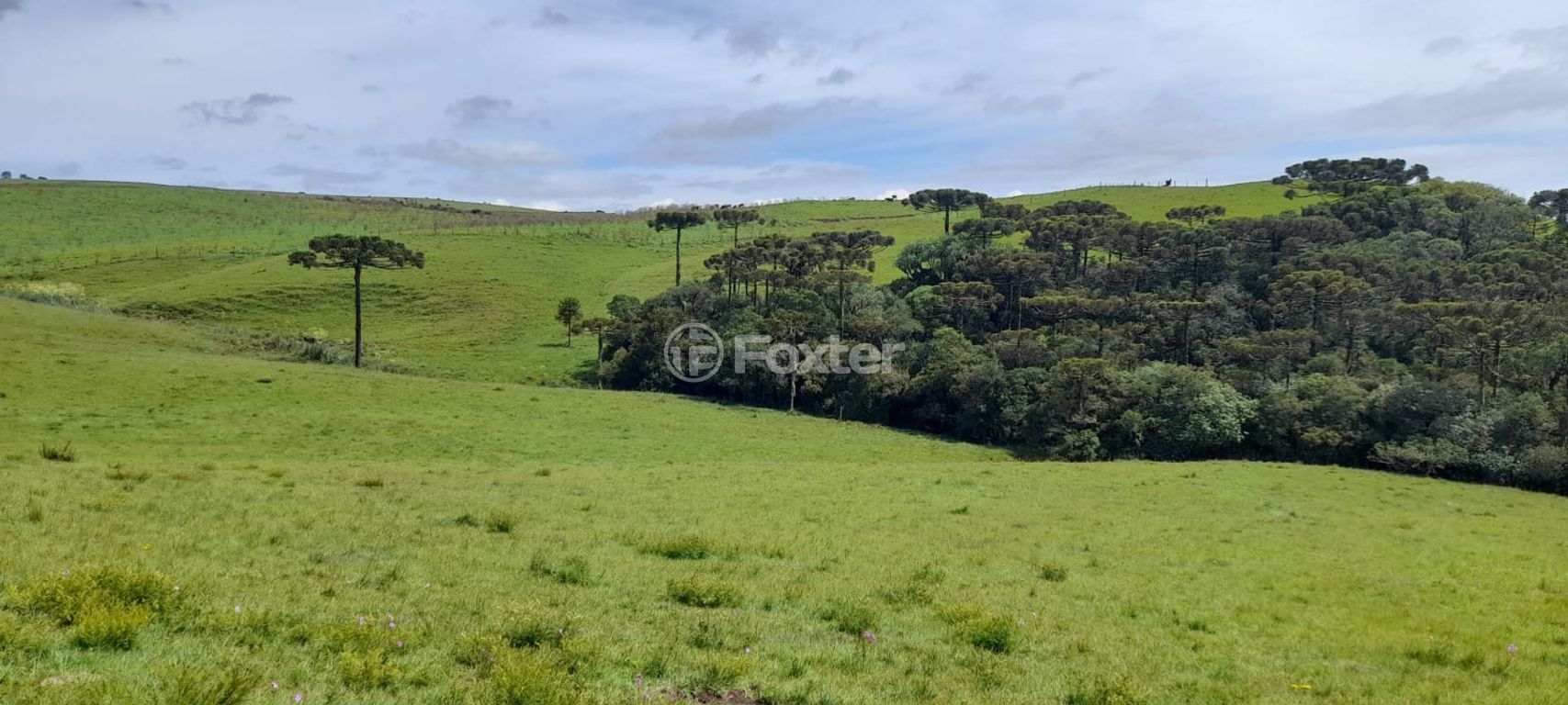 sitio chachara fazenda para comprar em Blang, 1120 - foto 4