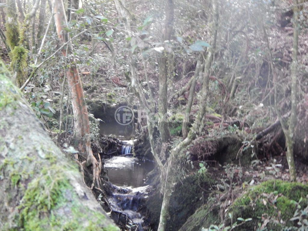 sitio chachara fazenda para comprar em Blang, 1120 - foto 7