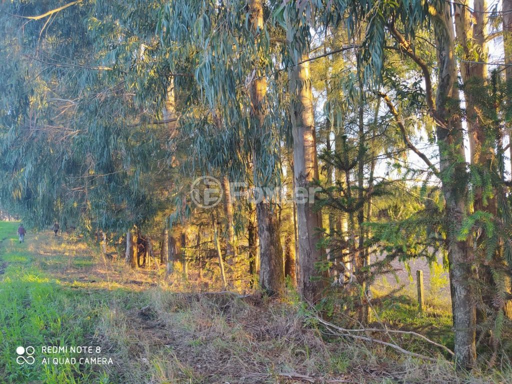 sitio chachara fazenda para comprar em Blang, 1120 - foto 15