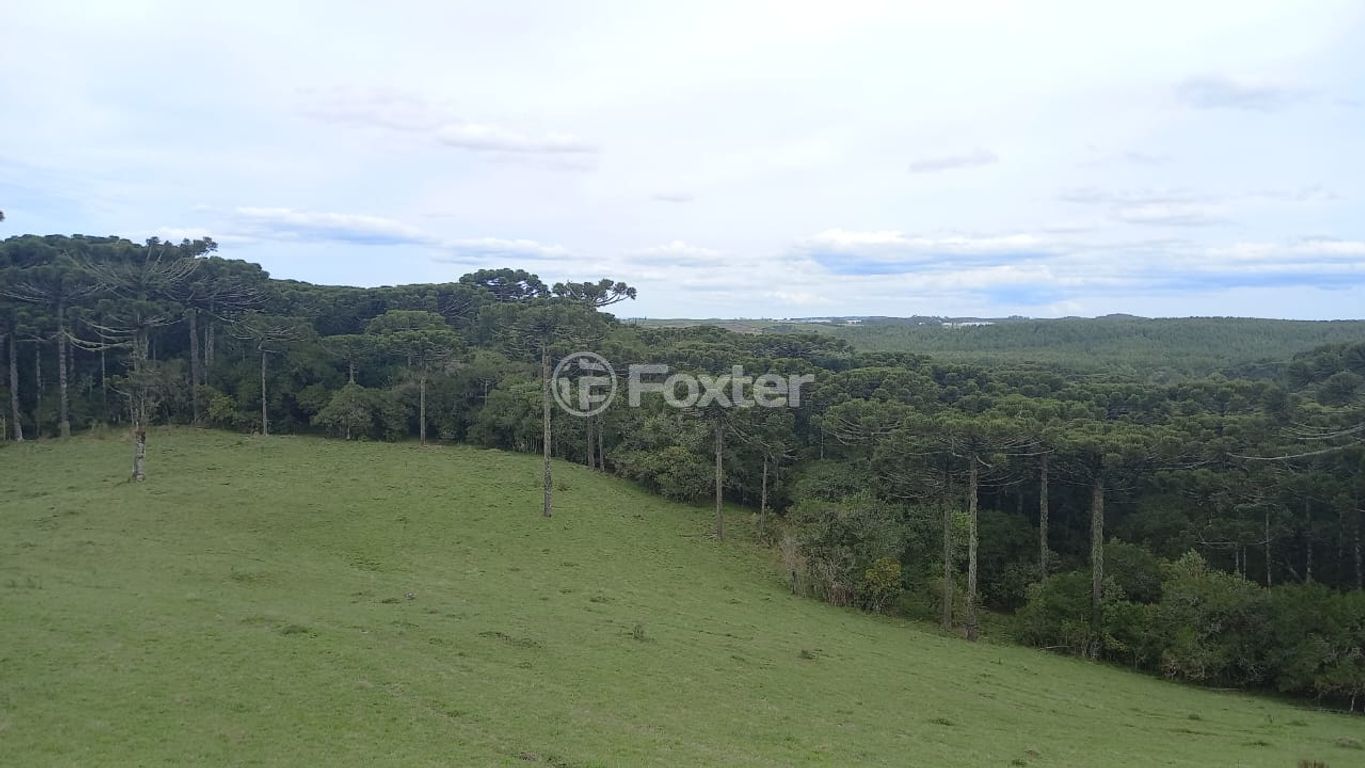 sitio chachara fazenda para comprar em Blang, 1120 - foto 3