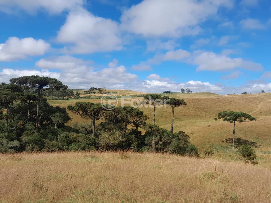 sitio chachara fazenda para comprar em Blang, 1120 - foto 18