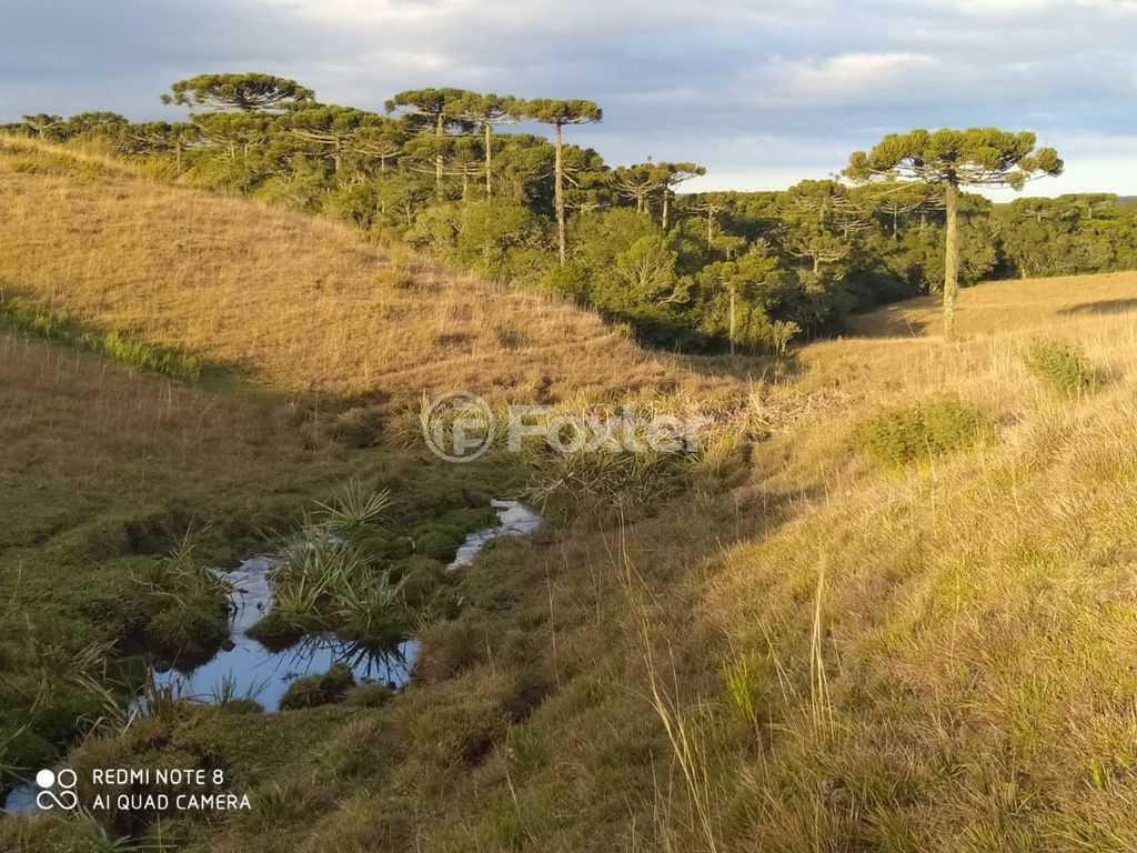 sitio chachara fazenda para comprar em Blang, 1120 - foto 8