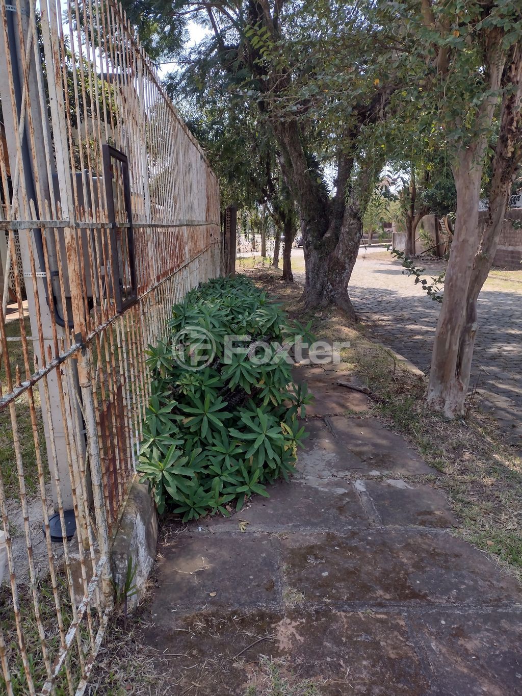 casa sobrado para comprar em Pastor Gustav Nordlund, 410 - foto 16