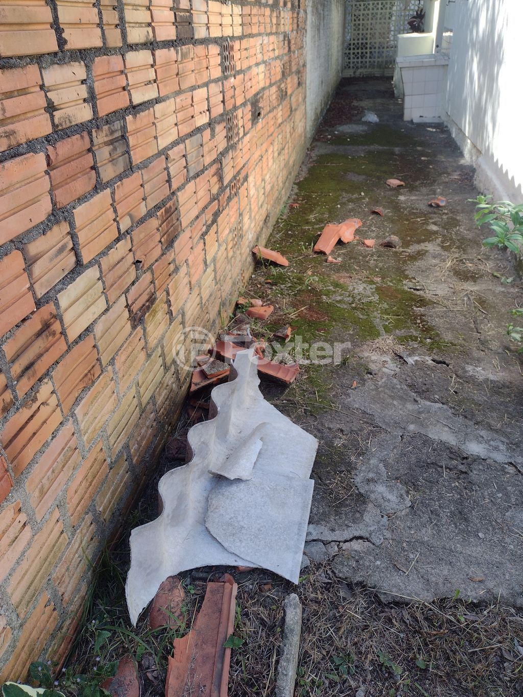 casa sobrado para comprar em Pastor Gustav Nordlund, 410 - foto 15