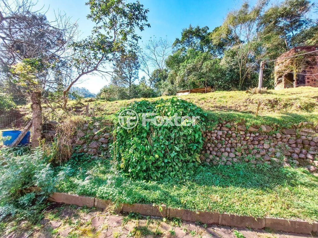 sitio chachara fazenda para comprar em Maurício Cardoso, 6395 - foto 32
