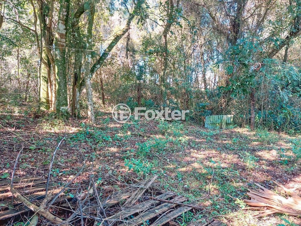sitio chachara fazenda para comprar em Maurício Cardoso, 6395 - foto 36