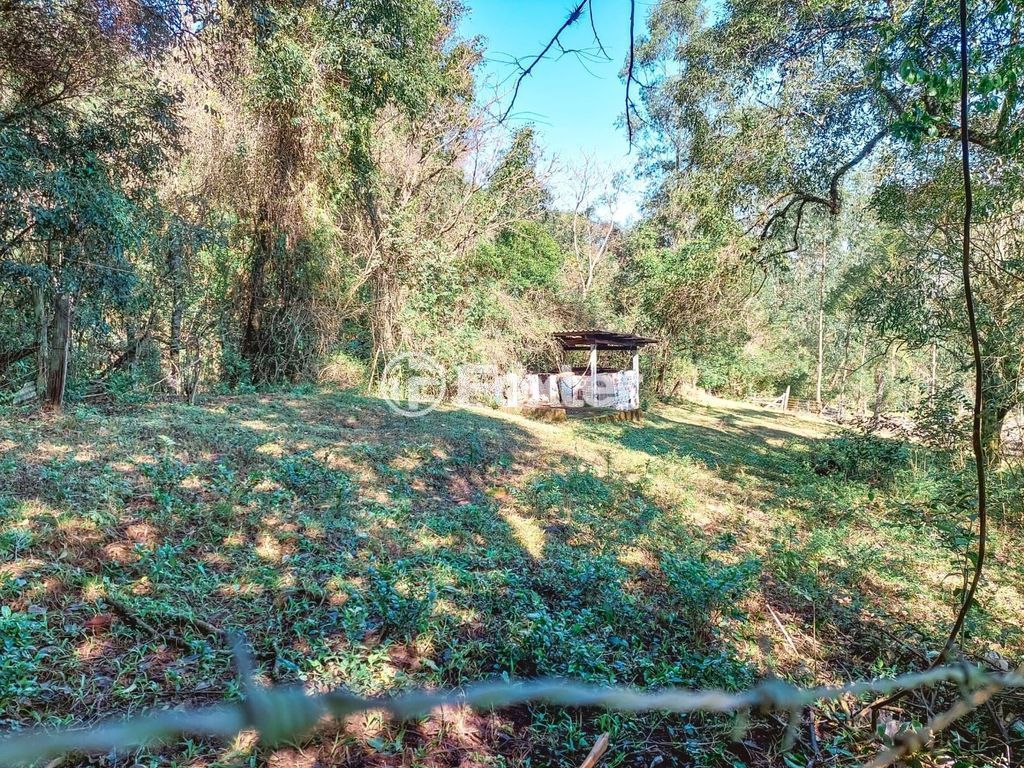 sitio chachara fazenda para comprar em Maurício Cardoso, 6395 - foto 35