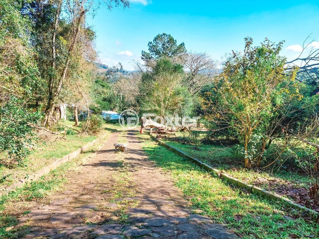 sitio chachara fazenda para comprar em Maurício Cardoso, 6395 - foto 38