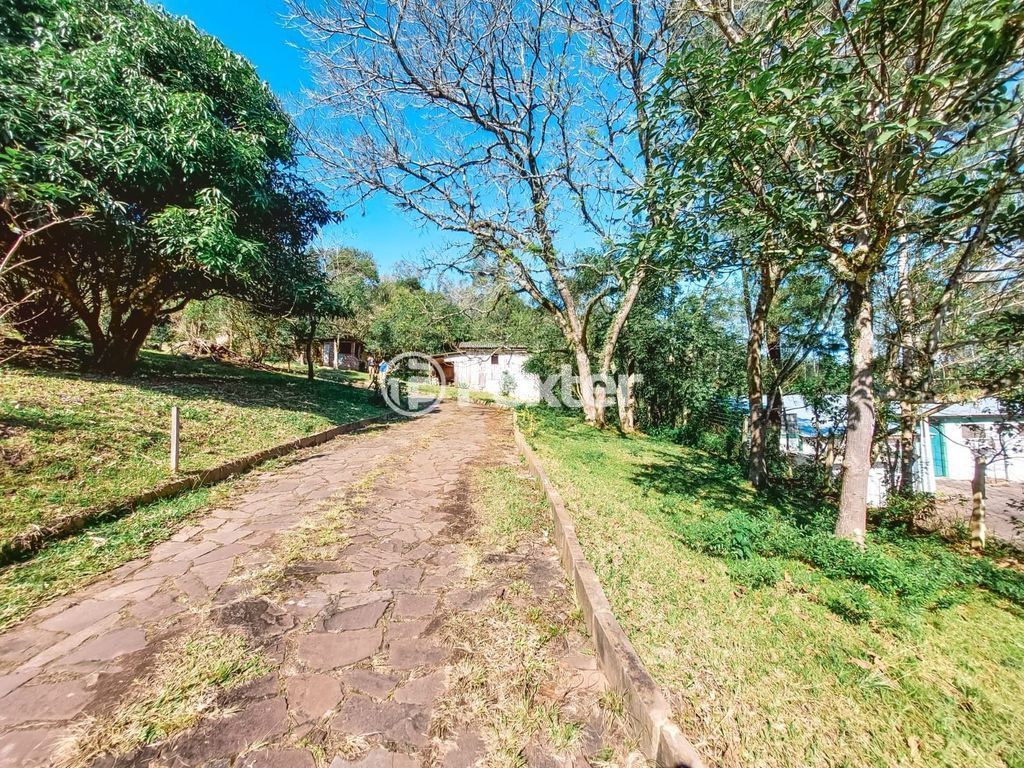 sitio chachara fazenda para comprar em Maurício Cardoso, 6395 - foto 33