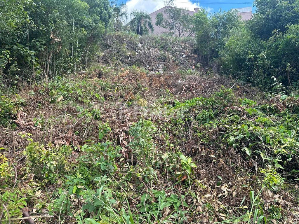 terreno lote condominio para comprar em Juca Batista, 6431 - foto 3