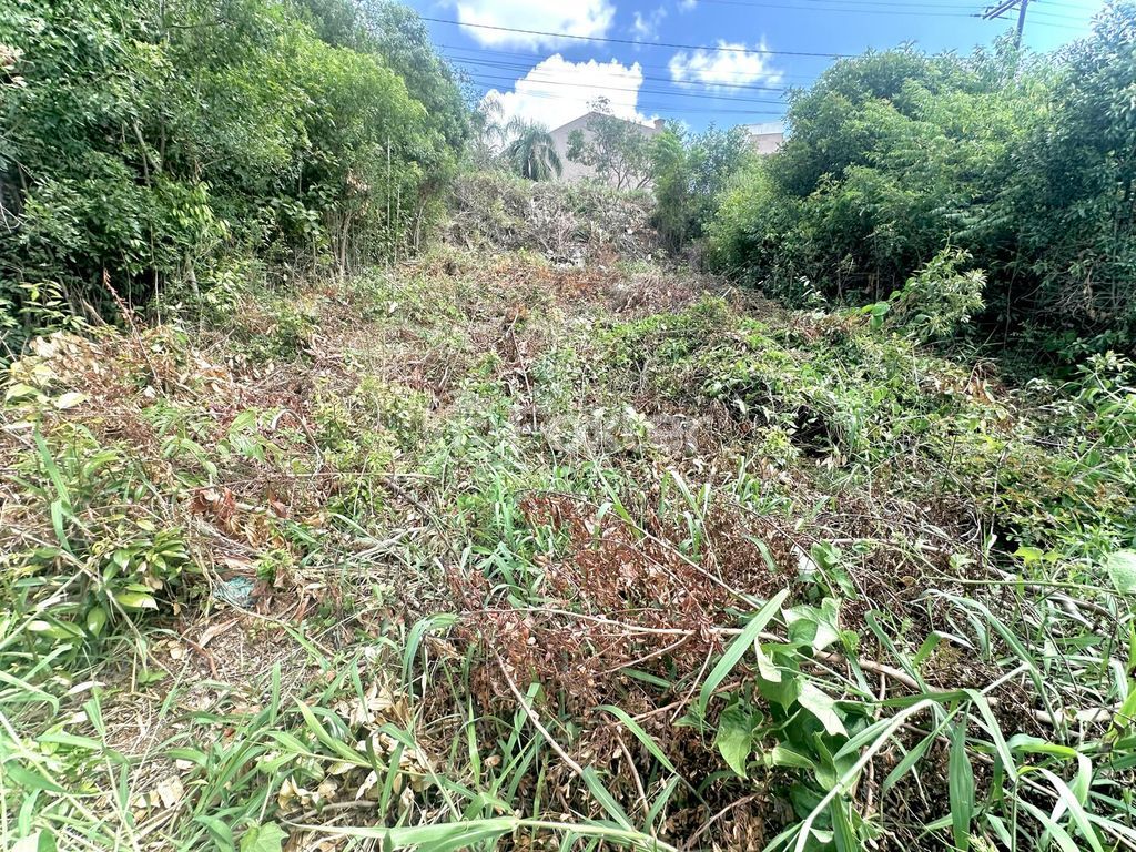 terreno lote condominio para comprar em Juca Batista, 6431 - foto 2
