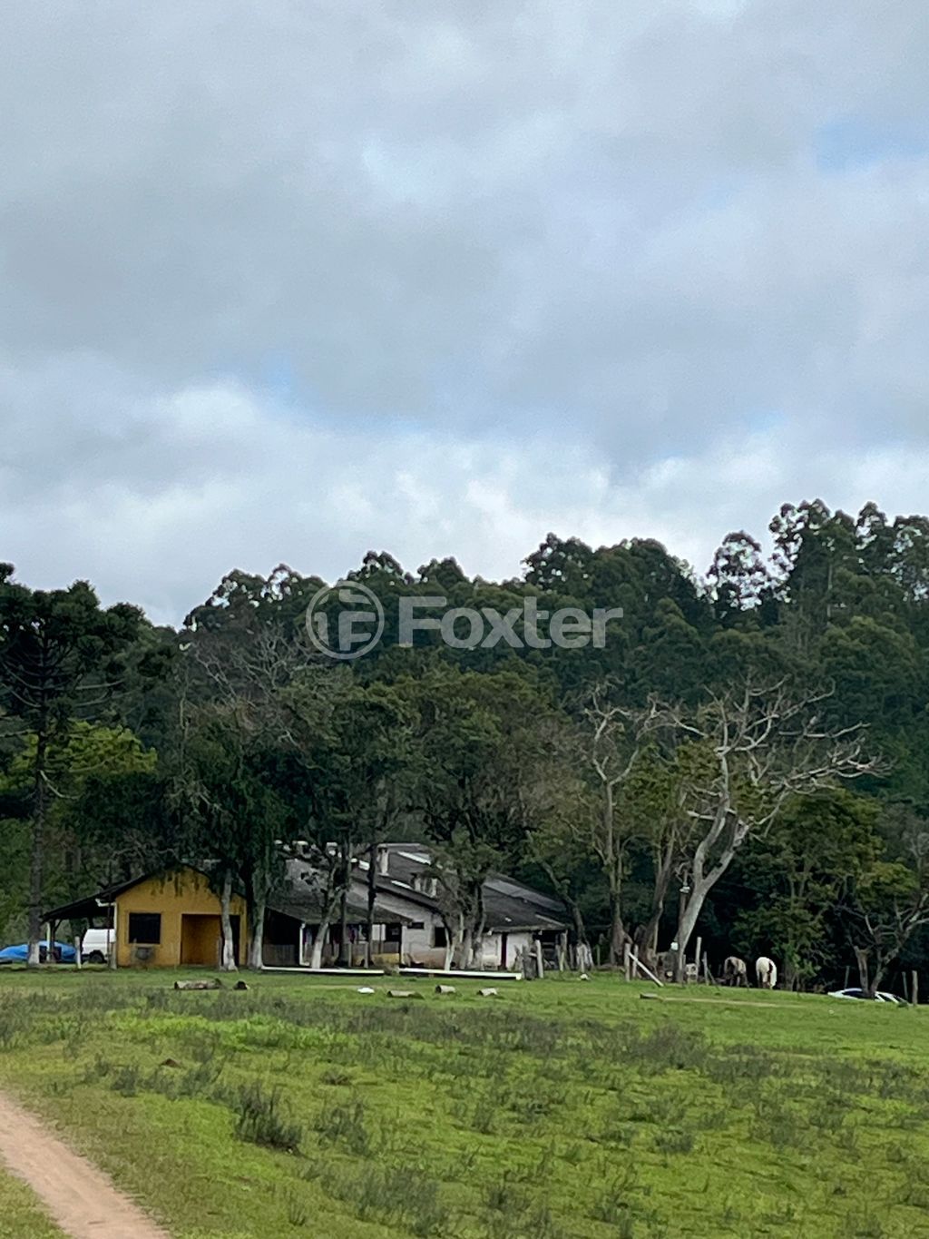 sitio chachara fazenda para comprar em Passo das Pedras, 3385 - foto 2