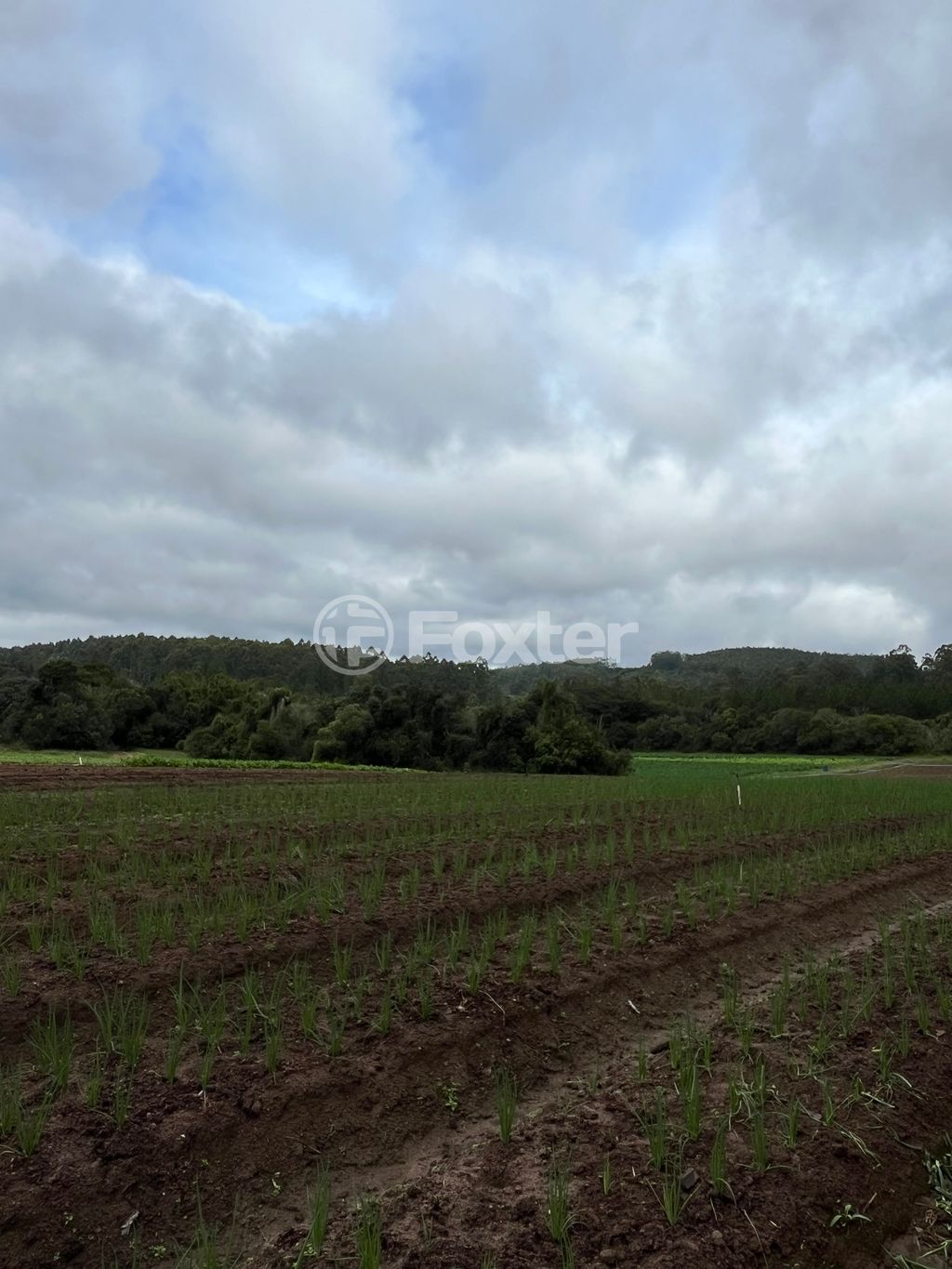 sitio chachara fazenda para comprar em Passo das Pedras, 3385 - foto 9