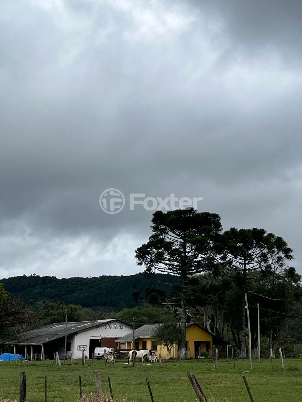 sitio chachara fazenda para comprar em Passo das Pedras, 3385 - foto 8