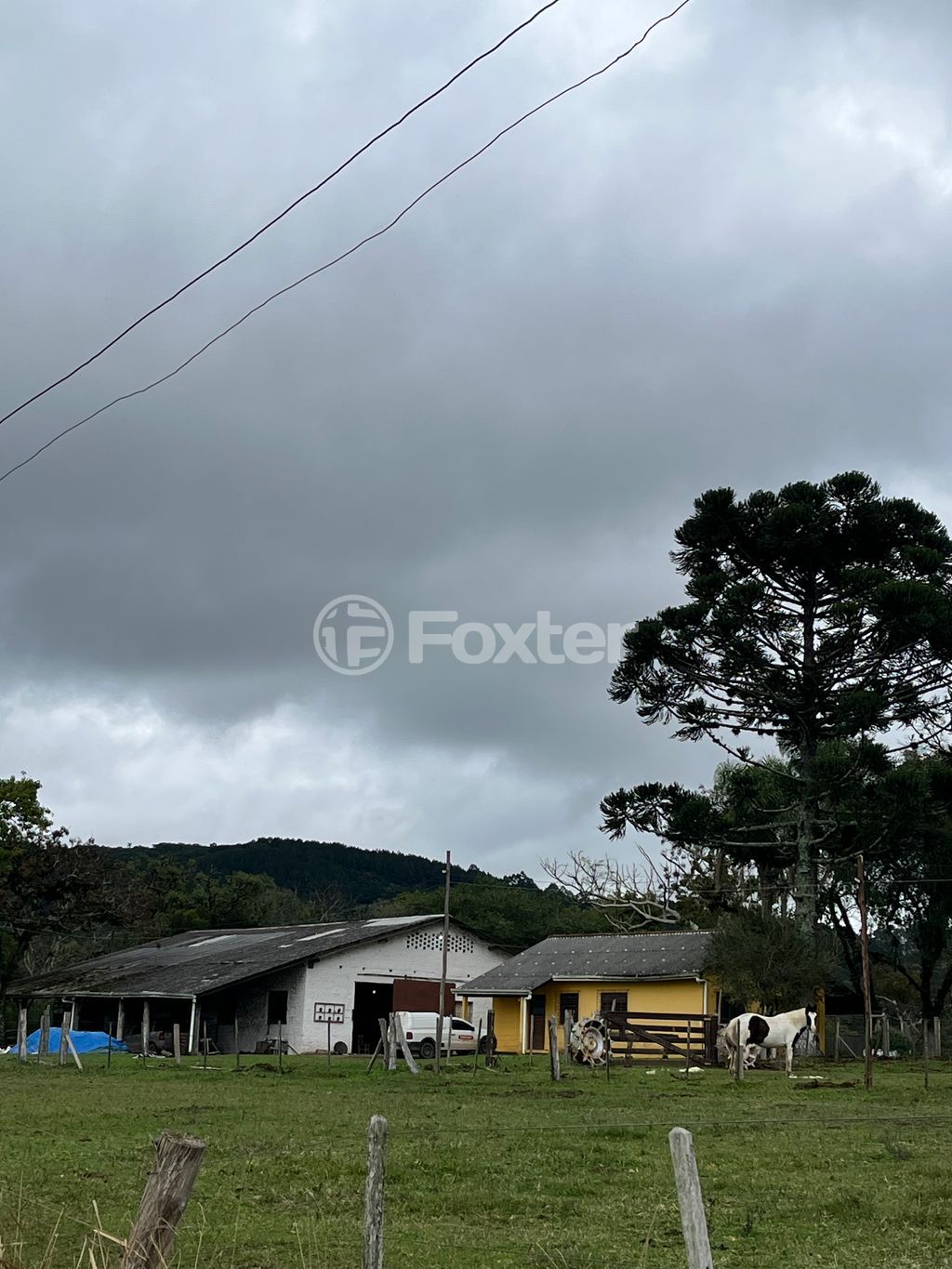 sitio chachara fazenda para comprar em Passo das Pedras, 3385 - foto 7