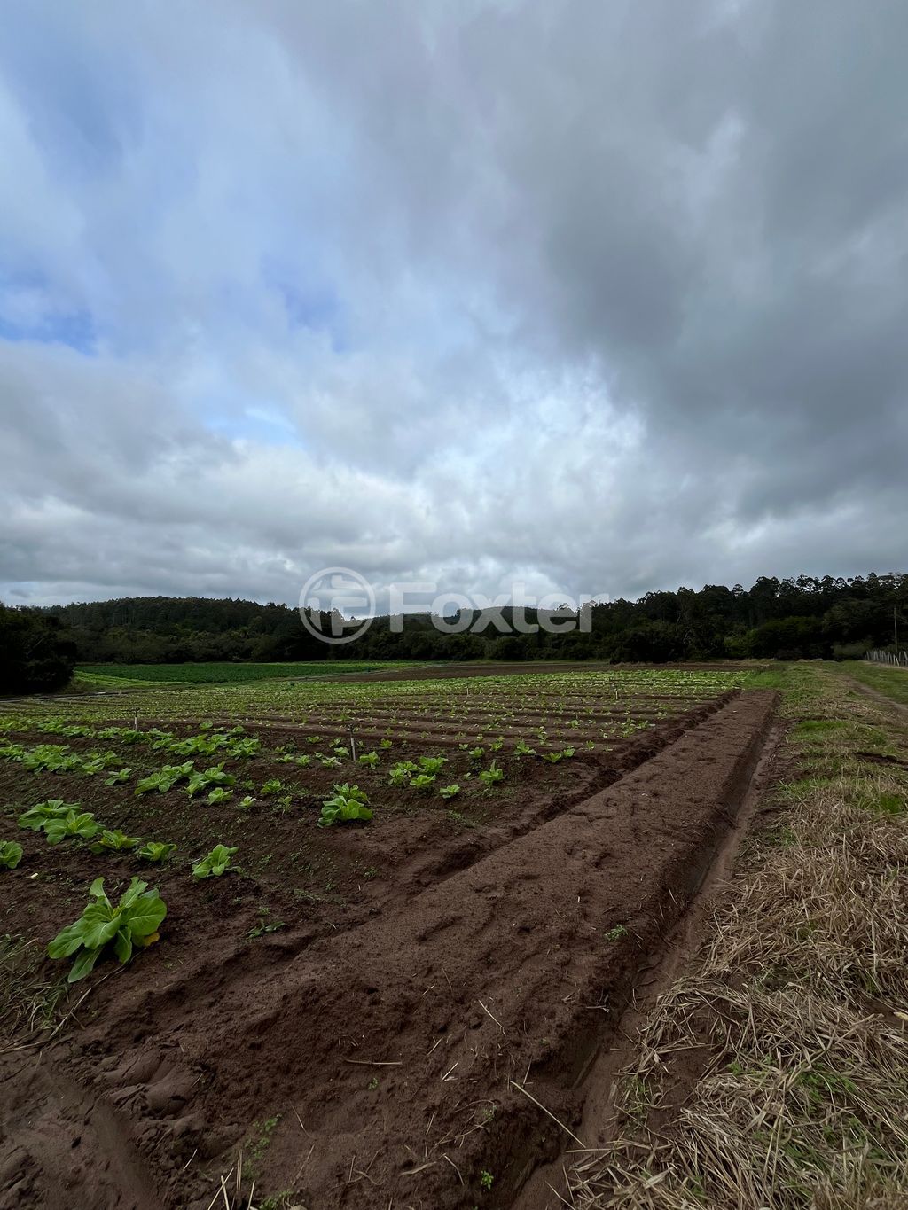 sitio chachara fazenda para comprar em Passo das Pedras, 3385 - foto 5
