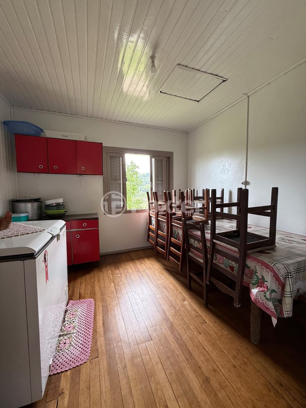 sitio chachara fazenda para comprar em Linha 100 da Leopoldina, 109 - foto 4
