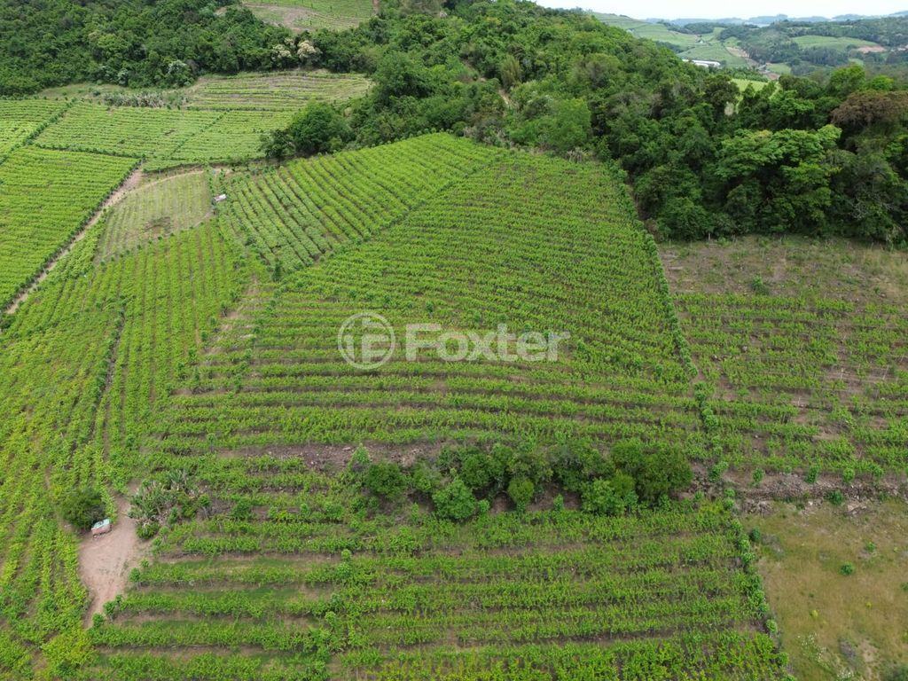 sitio chachara fazenda para comprar em Linha 100 da Leopoldina, 109 - foto 13