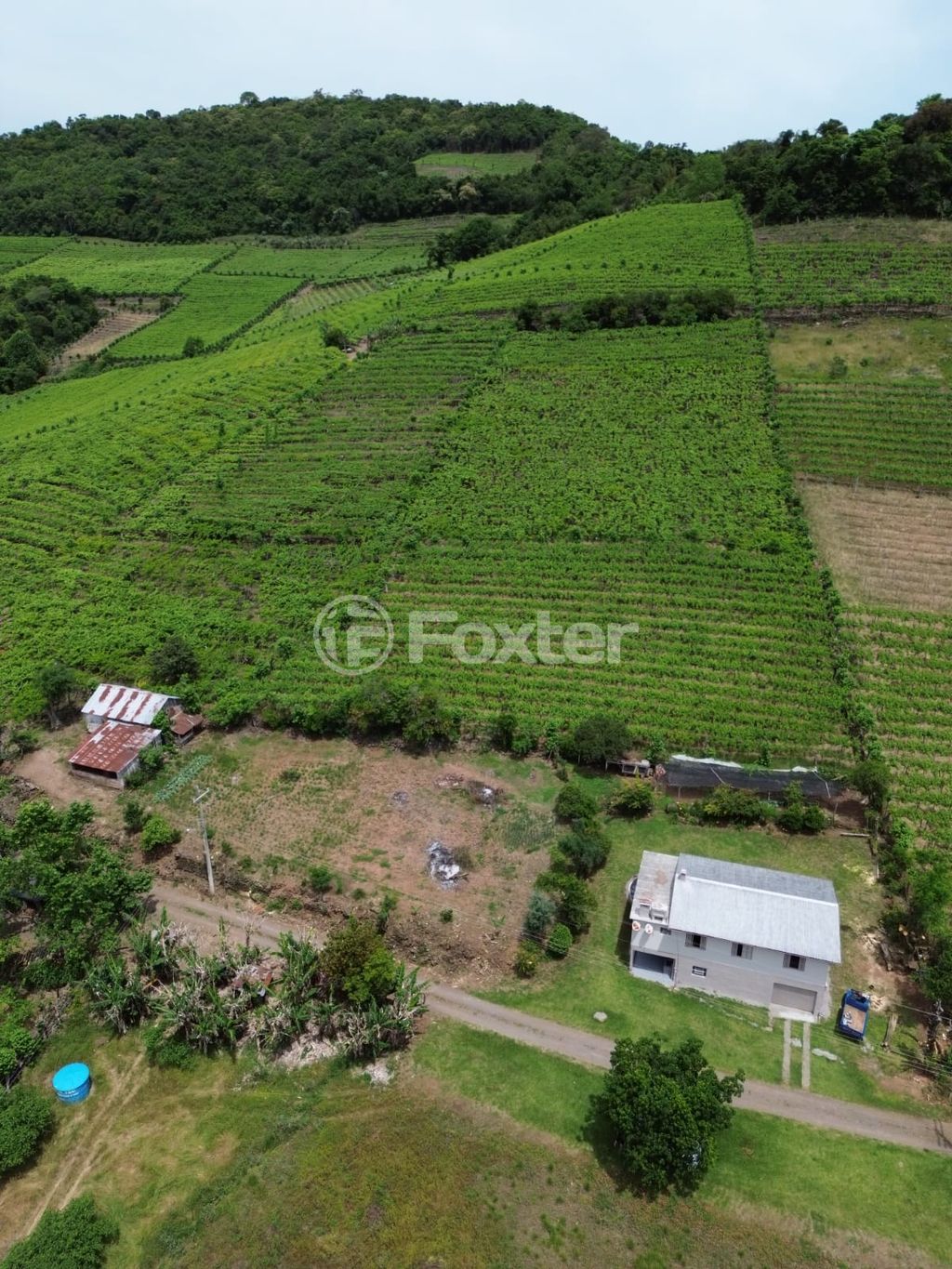 sitio chachara fazenda para comprar em Linha 100 da Leopoldina, 109 - foto 15