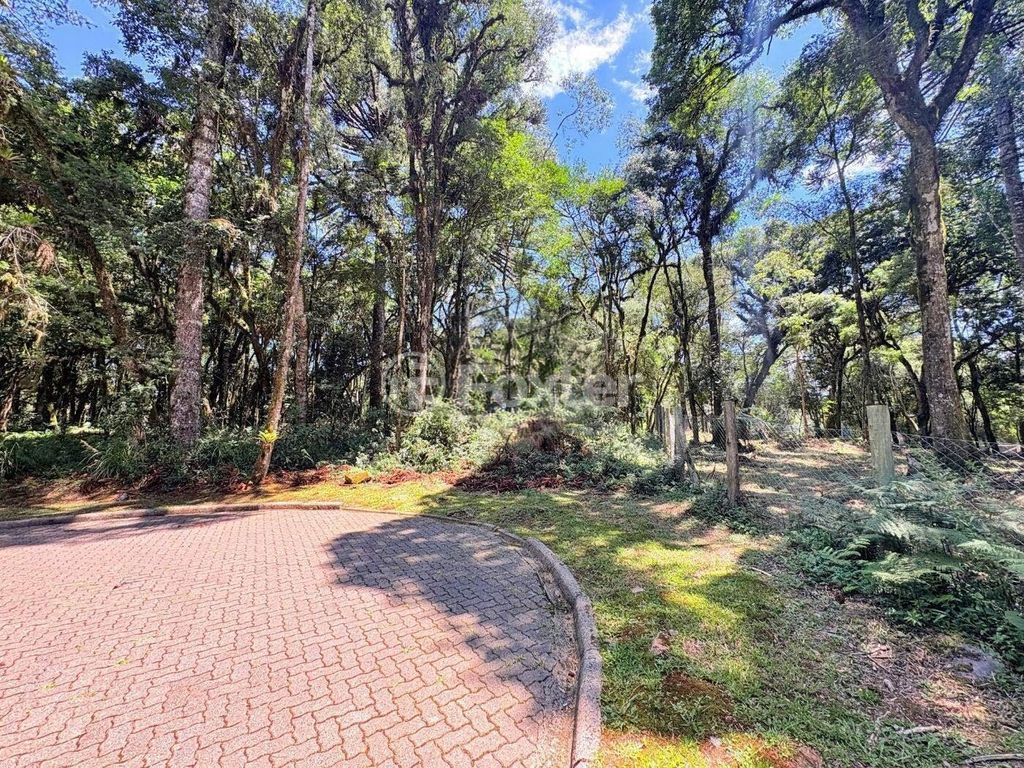 terreno lote condominio para comprar em ERS-466, QUADRA A - foto 1