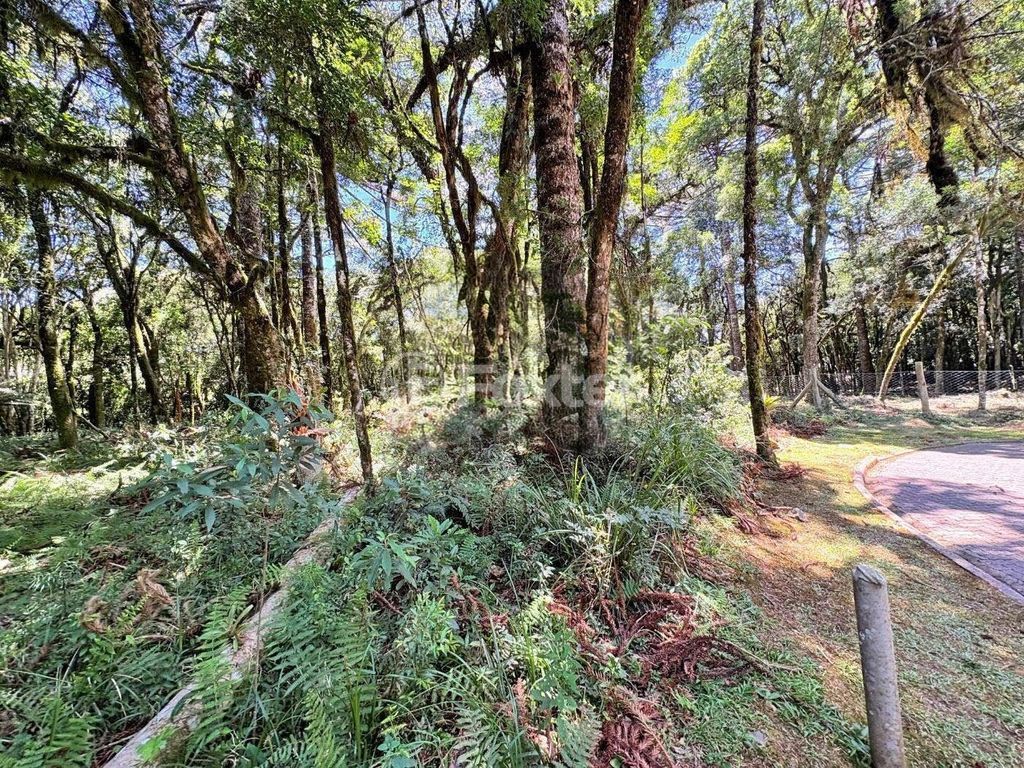 terreno lote condominio para comprar em ERS-466, QUADRA A - foto 3