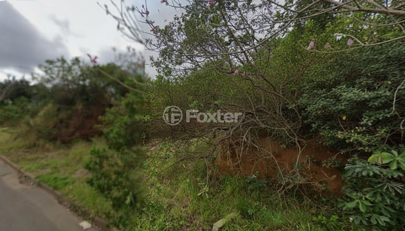 terreno lote condominio para comprar em Irmão Jaime Biazus, 33 - foto 2