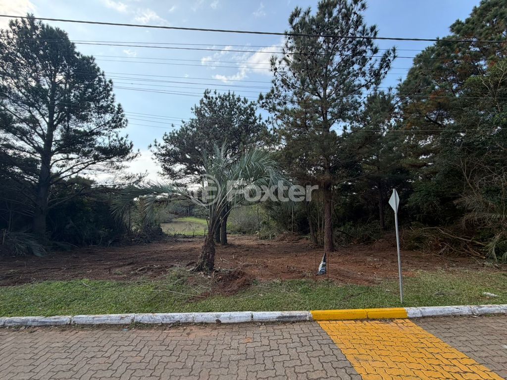 terreno lote condominio para comprar em Tapir Rocha, 6614 - foto 5