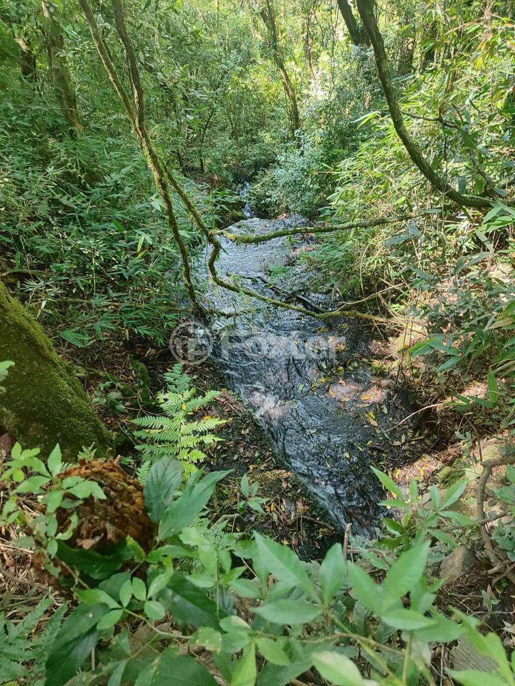 sitio chachara fazenda para comprar em Boa vista do Herval, Santa Maria do Herval - foto 1