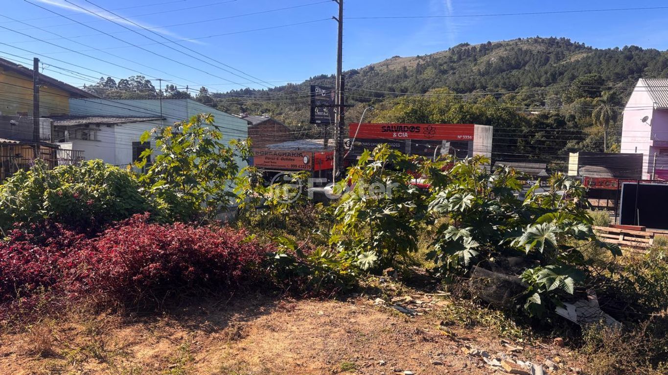 terreno lote condominio para comprar em Juca Batista, 3359 - foto 7