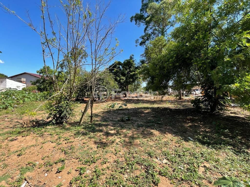 terreno lote condominio para comprar em Pedreira Itacolomi, 4459 - foto 3
