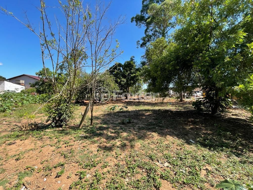 terreno lote condominio para comprar em Pedreira Itacolomi, 4459 - foto 9